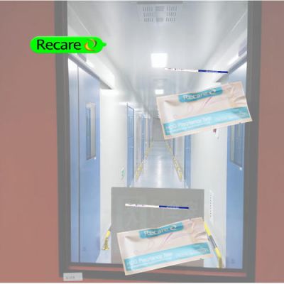 early pregnancy test kit one step  rapid test quick test
